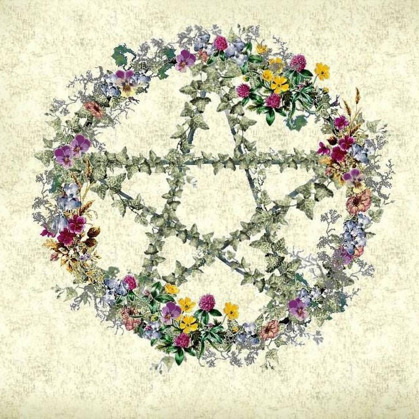 25 Wiccan Collection | Rare Books