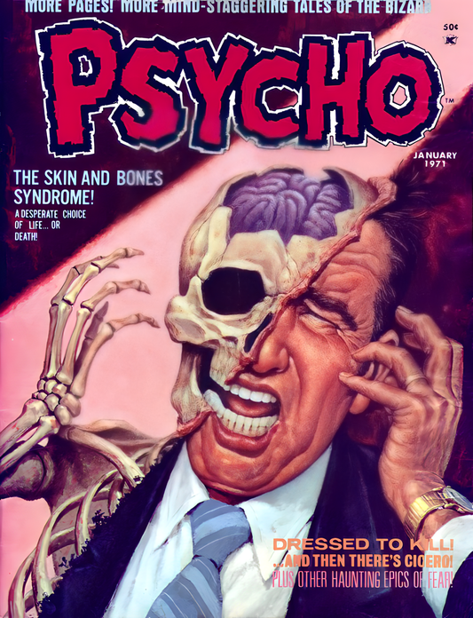 Psycho Horror Comic Magazine Issues 1-24 (1970-1975) | Skywald Publications