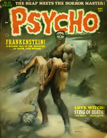 Psycho Horror Comic Magazine Issues 1-24 (1970-1975) | Skywald Publications